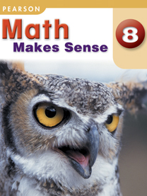 grade 2 math makes sense homework book